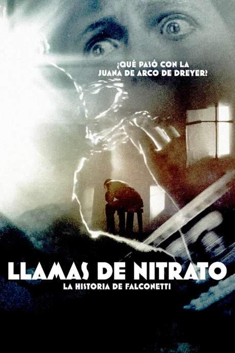 Nitrate Flames